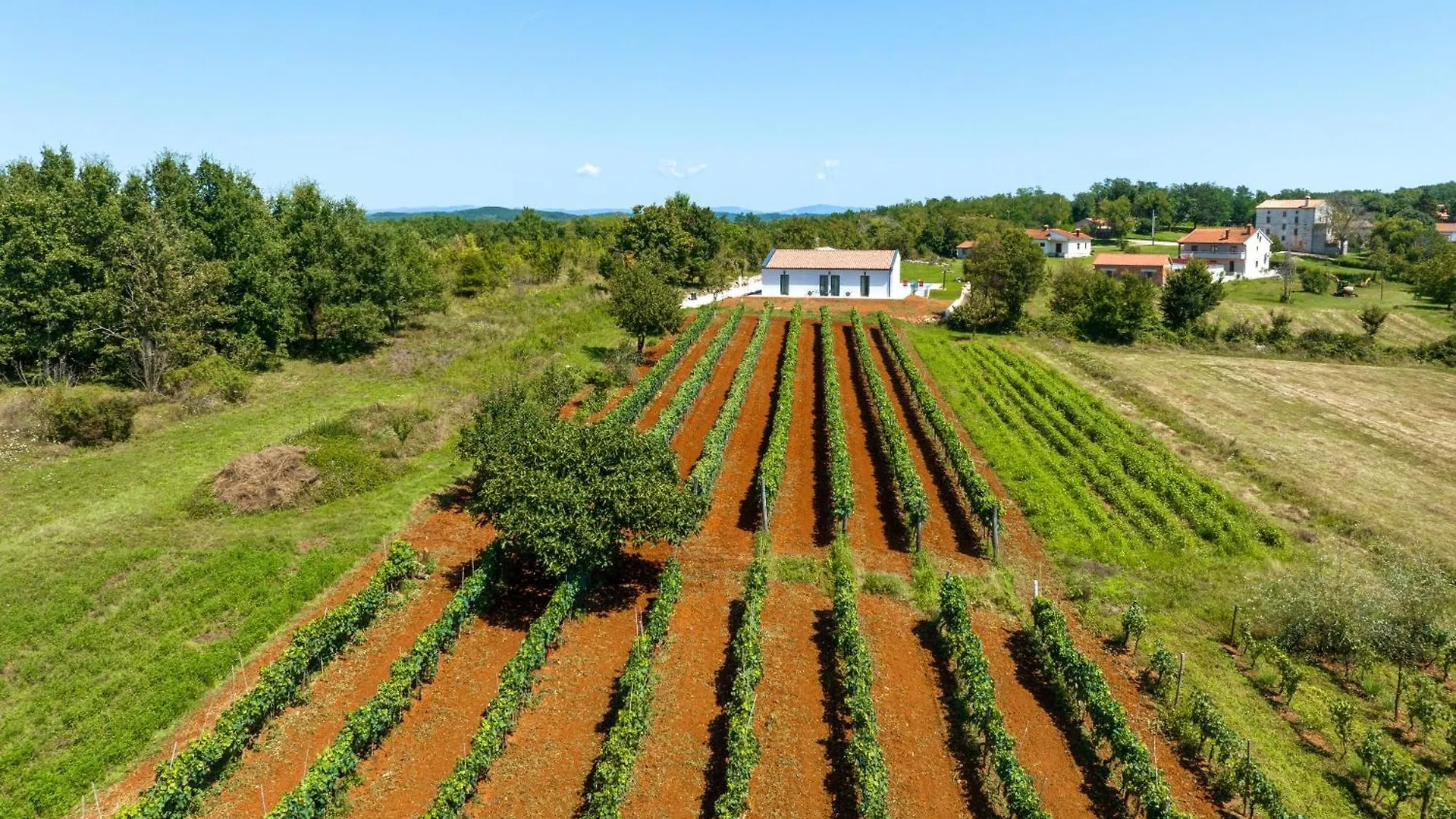 Villa Levak Motovun